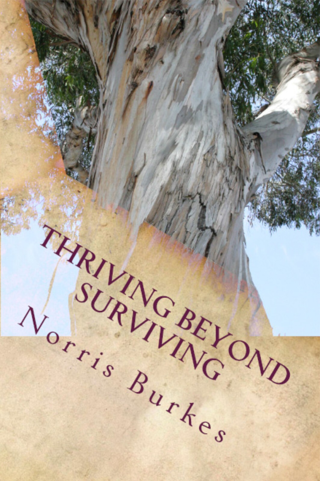 A book cover with the title of thriving beyond surviving.